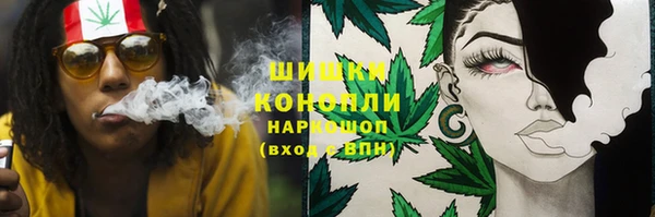 твердый Алексин