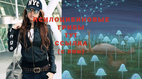 твердый Алексин