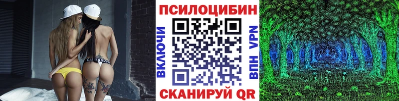 Купить  Балашов  Галлюциногенные грибы Cubensis 